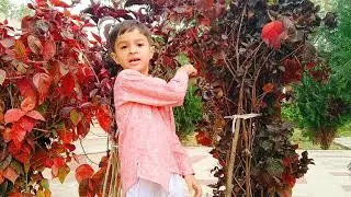 Environment day # save environment# Ped humare hai sathi #  easy rhyme for kids# Dhruvin Mandowara