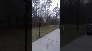 The bird box basketball challenge....