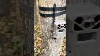 Is the Moultrie solar panel worth it? I love it. #moultrie #moultriesolarpanel