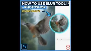 HOW TO USE BLUR TOOL IN PHOTOSHOP|# beginners |# photoshop