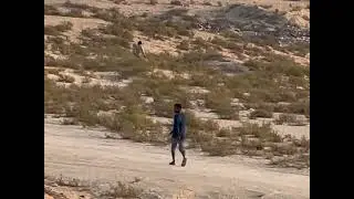 মরুভূমির রাখাল 🐫😱#foryou #cowboys #trending #goat #desert #viral #viralvideo 