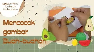 TEMA TUMBUHAN BUAH-BUAHAN || MENCOCOK GAMBAR BUAH-BUAHAN