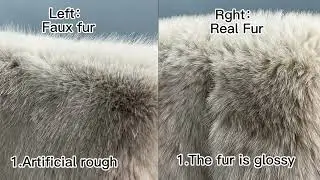 The Difference Between Real Fur and Fake Fur#fur #foxfur #realfur #fauxfur #factory