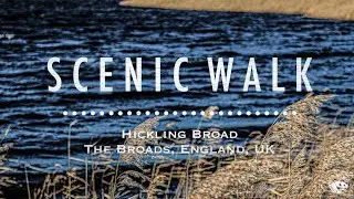 Hickling Broad | The Broads National Park | England | UK【SCENIC WALK】