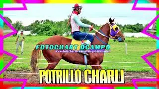 POTRILLO CHARLI - Capit&aacute;n Solari - Chaco 16/04/2023