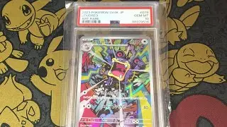 2023 Pokemon Loudred from Paradox Rift #tcgpokemon