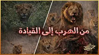 الأسد الشبح&hellip; من مذبحة المابوغو إلى إمبراطورية سيزناني