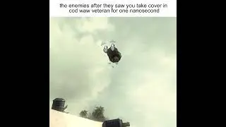 Call of Duty: World At War Veteran moment