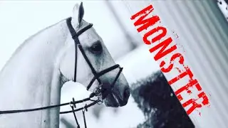 Monster || Equestrian Music Video ||