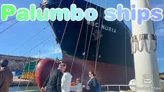 Palumbo shipyards open day 2023.