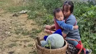 A Mother’s Busy Morning: Feeding Her Son, Market Trip & Searching for Her Daughter