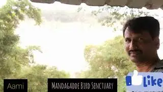 Mandagadde Bird Sanctuary