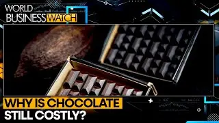 Cocoa Slump Brings No Sweet Relief | World Business Watch | WION