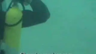 Under water Pony Bottle Harness Demo