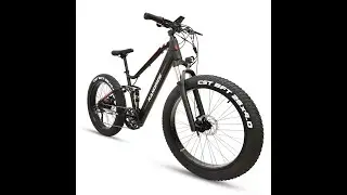 RANDRIDE adult electric mountain bike fat tire ebike 1000w