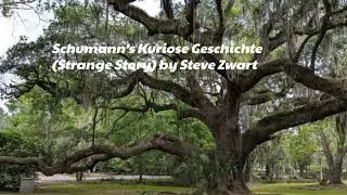 Schumann's Kuriose Geschichte (Strange Story)