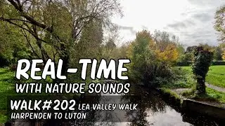 Walk 202 Real time | Nature Sounds | Lea Valley Walk Part 6 | Harpenden to Luton #walkingtour
