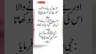 A True Believer Hides Faults | Islamic Marital Lesson