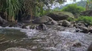 4 HOURS OF LISTENING TO THE BEAUTIFUL AND CLEAR SOUND OF THE RIVER