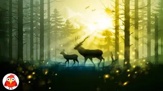 30 Minutes Relaxing Music and Meditation Music, Calming Music, Stress Relief Music, Study Music