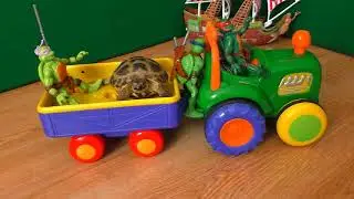 ЧЕРЕПАШКИ НИНДЗЯ : больше никаких конфет !!! Mutant Ninja No More Candy
