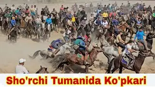 Sho'rchi fumanida ko'pkari. JANGCHI otning egasi Shokir Optomchining ko'pkarisi talablariga binoan.!