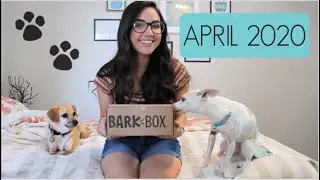 Barkbox April 2020 Unboxing - Extra Toy Club