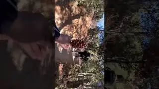 #parobhutan #shrotsvideo #bhutantour #minivlog