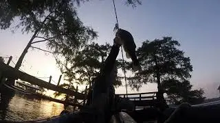 Lake Saint John summertime bass fishing