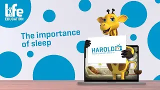 Healthy Harold&rsquo;s Check In &ndash; The importance of sleep