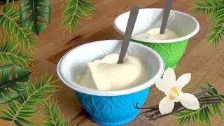 how to make madagascar vanilla ice cream easy recipe