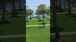 sealine beach resort / hazel's channel