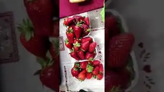 kush do ca luleshtrydhe😍
