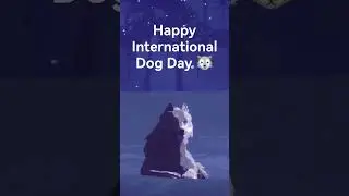 Happy International Dog Day 🐺