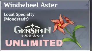 How To Buy WindWheel Aster In Genshin Impact