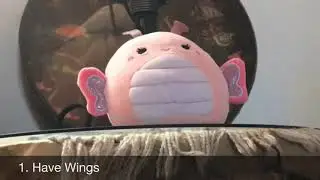 Maribel&rsquo;s Guide to Being a Butterfly+ Blu Trying it Out- Stop Motion | Squishmallow Productions