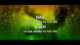 Bailalo - Flowins M50 (Video Lyric)