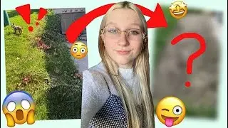 Watch me TRANSFORM my overgrown patio!!!!