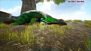 Ark Survival Evolved | Working on a base build
