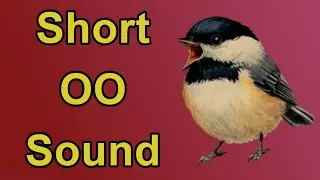 The Short OO Sound Sonnet | Phonemic Awareness Poetry