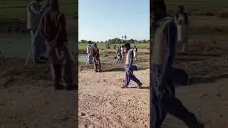 Survey Of Canal | Pakistan Canal System