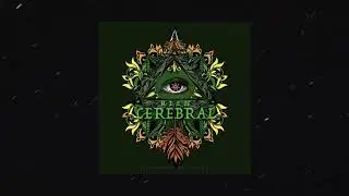 Reen - Cerebral