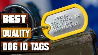 Best Quality Dog ID Tag In 2025 - Top 10 Quality Dog ID Tags Review
