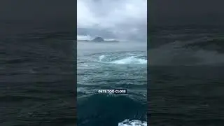 The Deadly Beauty of a Whirlpool