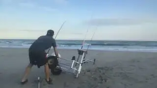 Spinner shark almost takes cart!