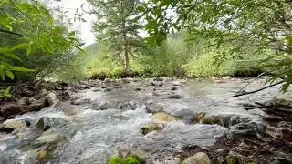 Video of Libby Creek Spruce Campground, WY from Mike T.