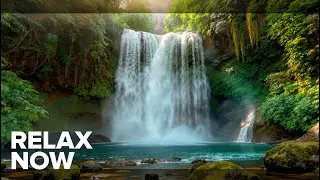 LIVE 🌙 Relax Your Mind | Gentle Piano & Natural Water Sounds