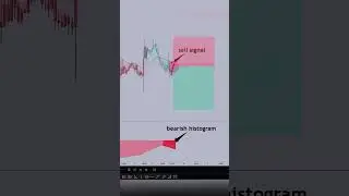 Indicators filter noise buy sell signals🔥#daytrading #tradingindicators #forex #trading