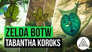 Zelda Breath of the Wild | All Korok Seeds Guide - Tabantha Region