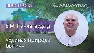 ШБ 7.15.62-64 &laquo;Единая природа бытия&raquo; | Е.М. Панчагауда д. #ACBSP